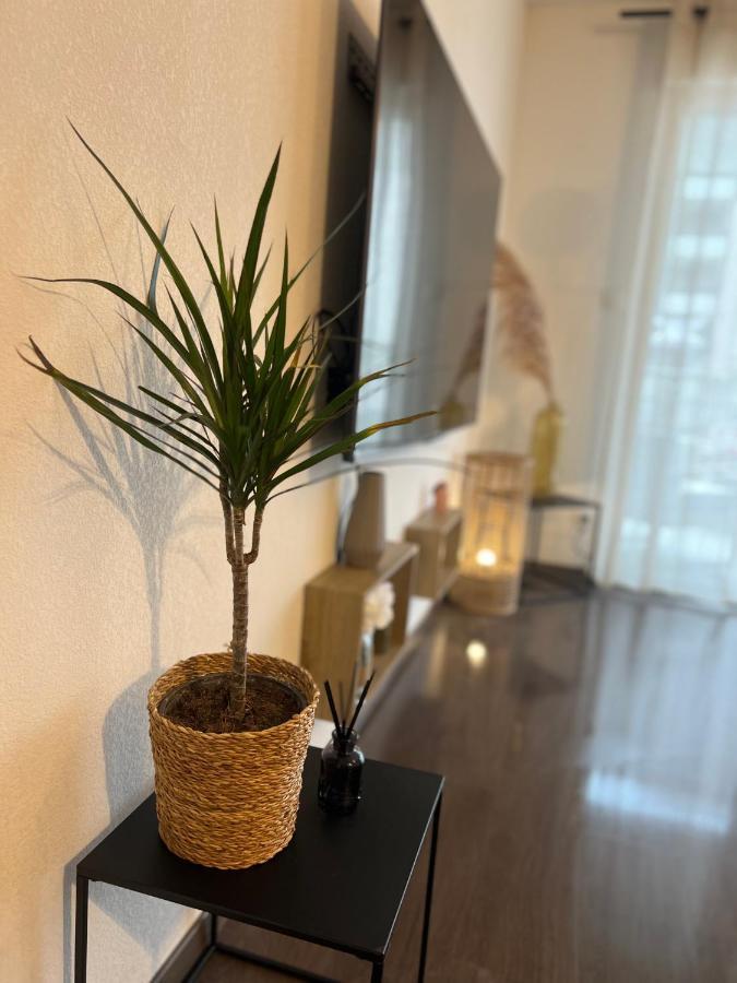 T2 Cosy Ajaccio Apartment Аячо Екстериор снимка